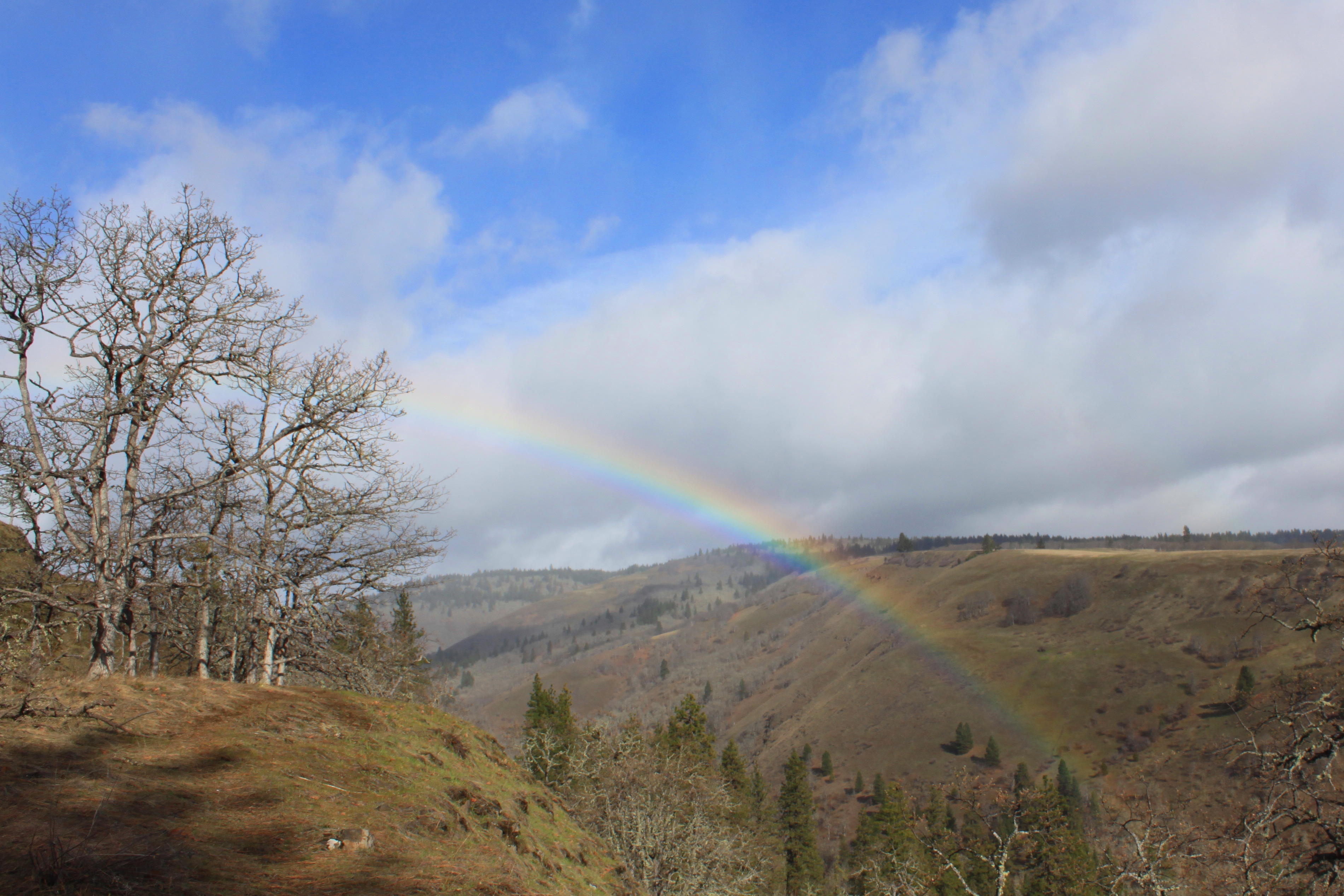 rainbow over Major Creek