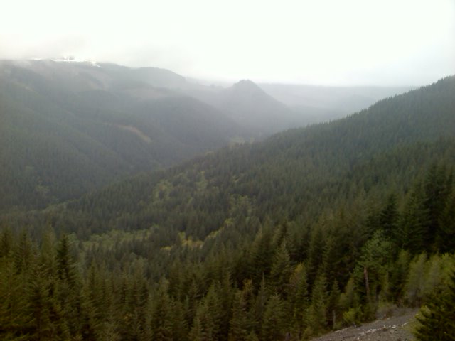 View from PCT towards Hamilton area
