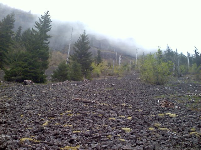 Scree field on PCT