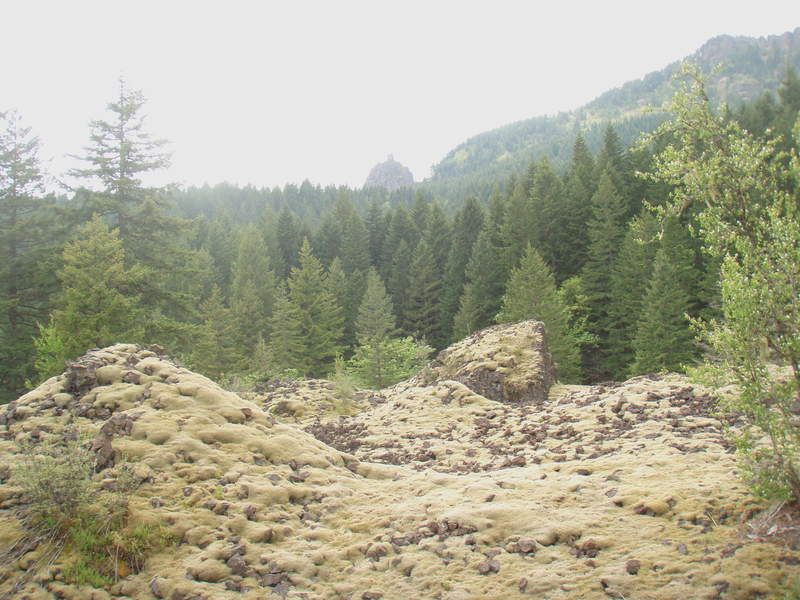 Sacajewea and papoose loom over the mossy scree field