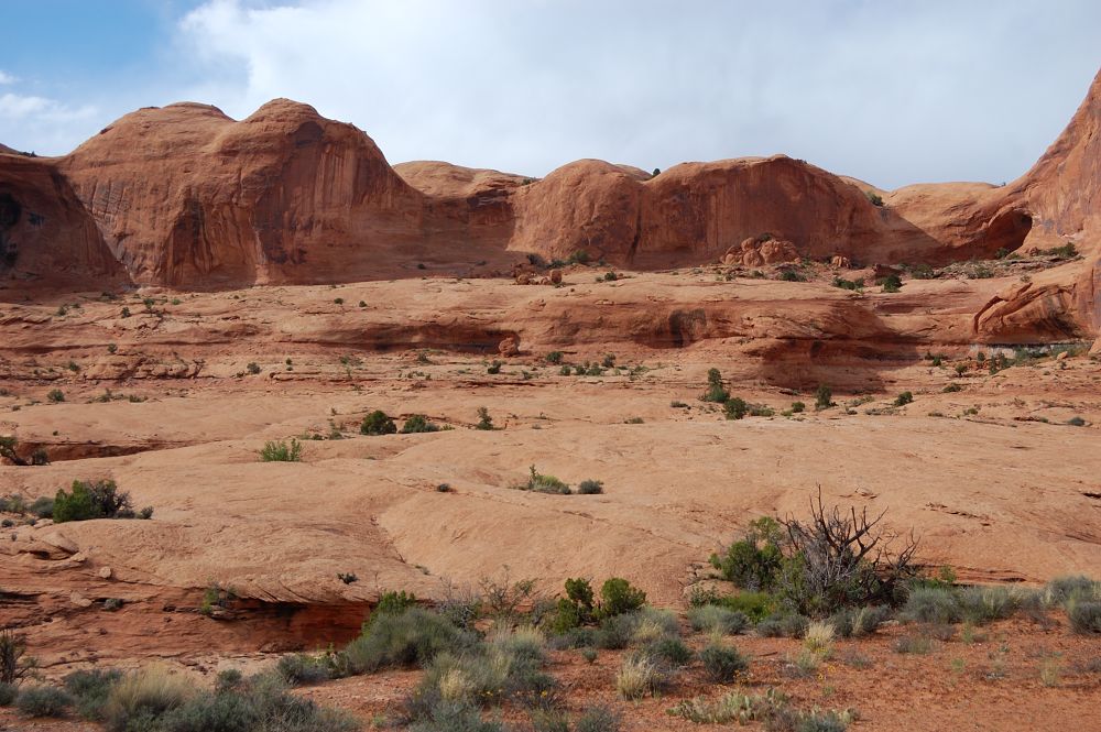 typical terrain