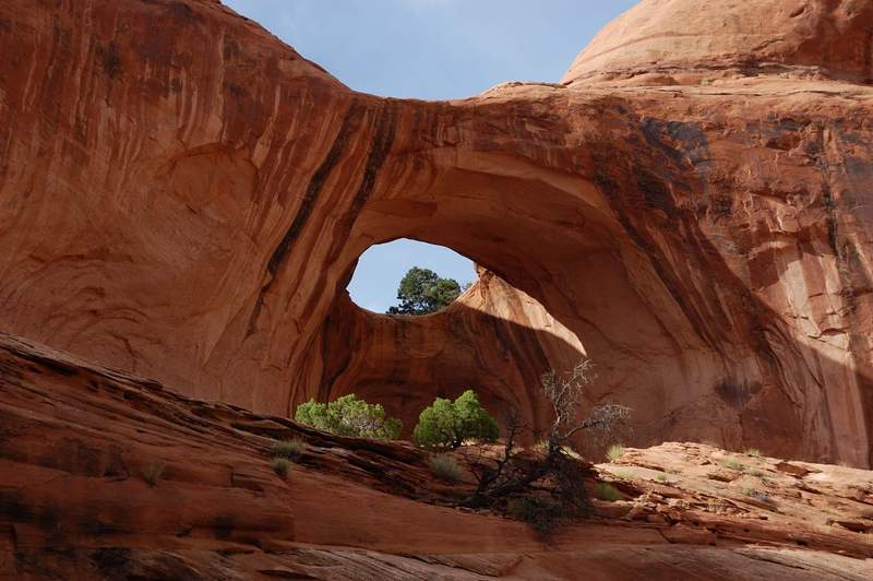 small arch near the end of the trail