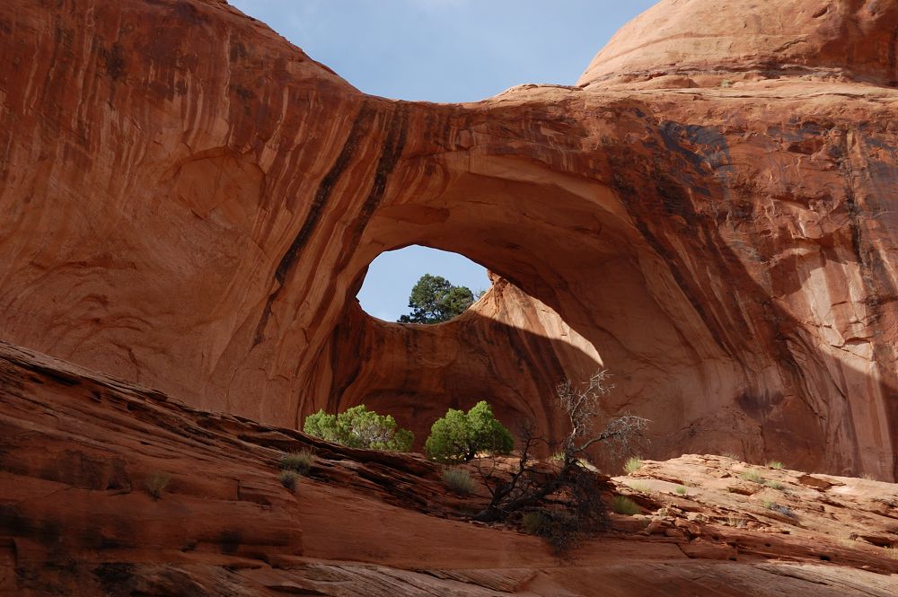 small arch near the end of the trail