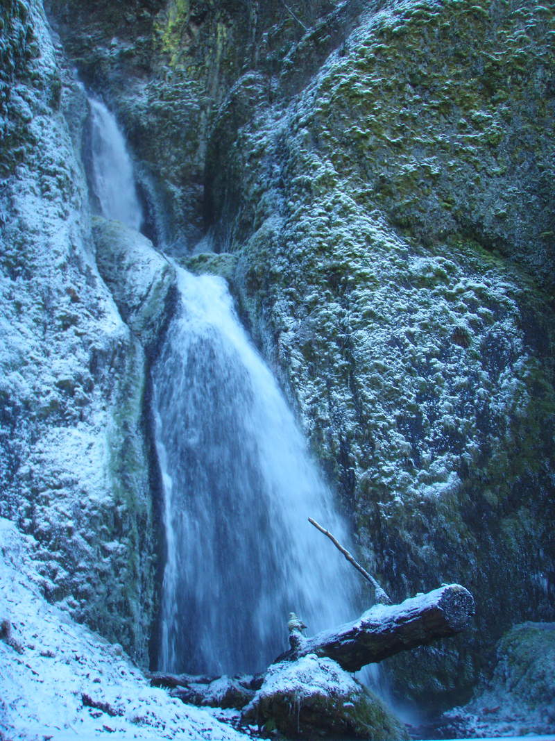 Icy Wahkeena