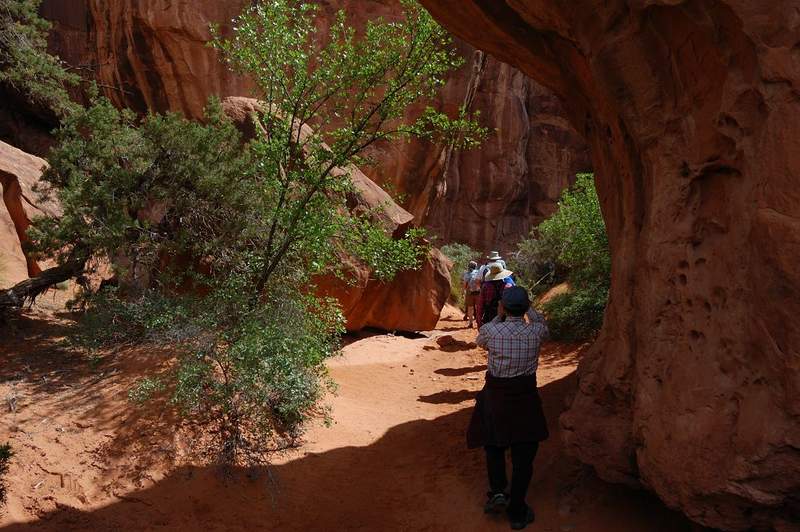 Entering the labyrinth of Fiery Furnace