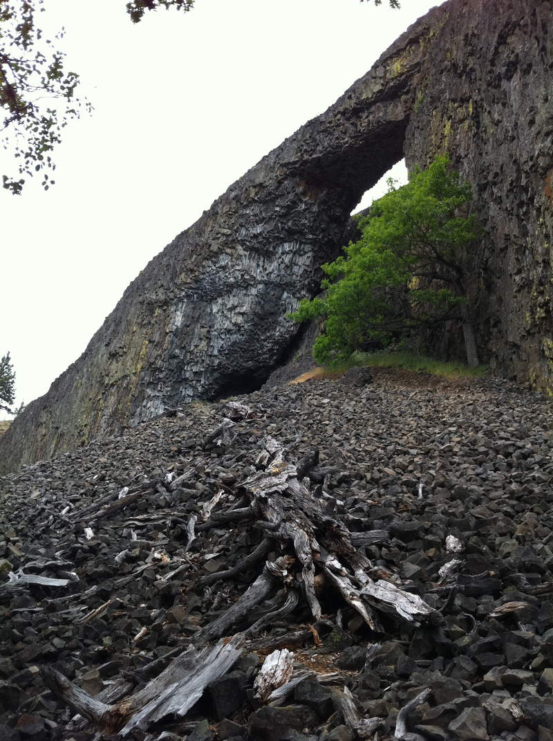 the arch