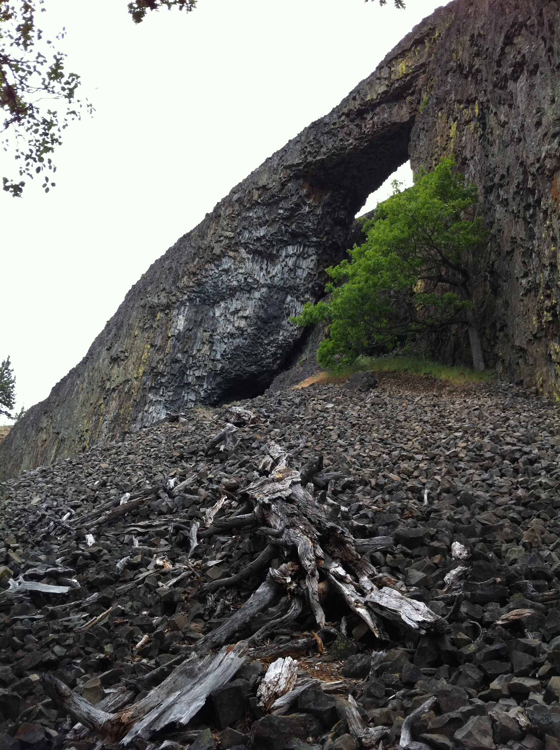 the arch