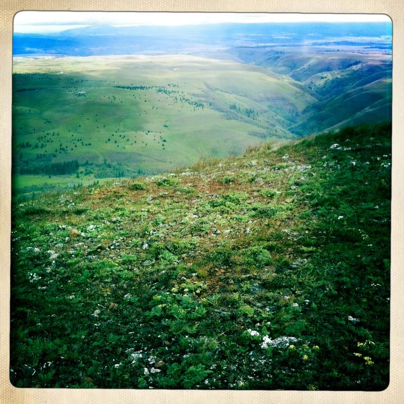 looking north from stacker butte