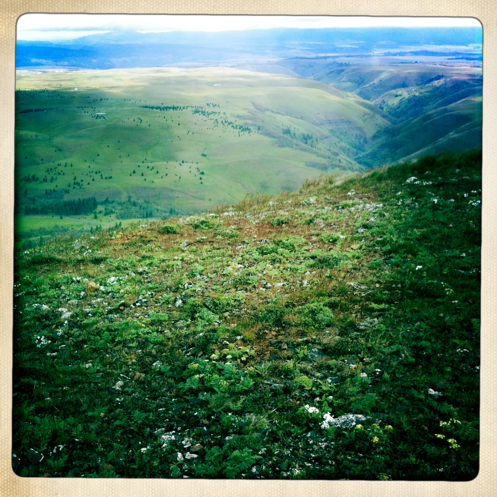 looking north from stacker butte
