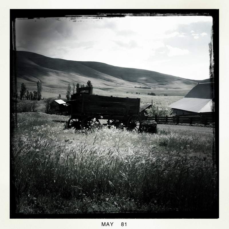 the old wagon your turn left at to get to dalles mt trailhead