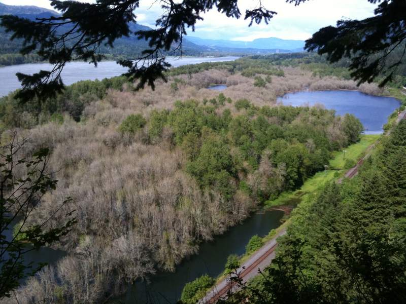 viewpoint