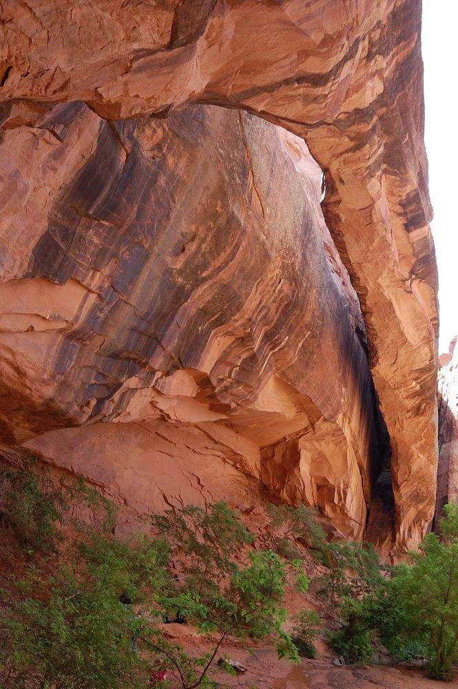 The arch