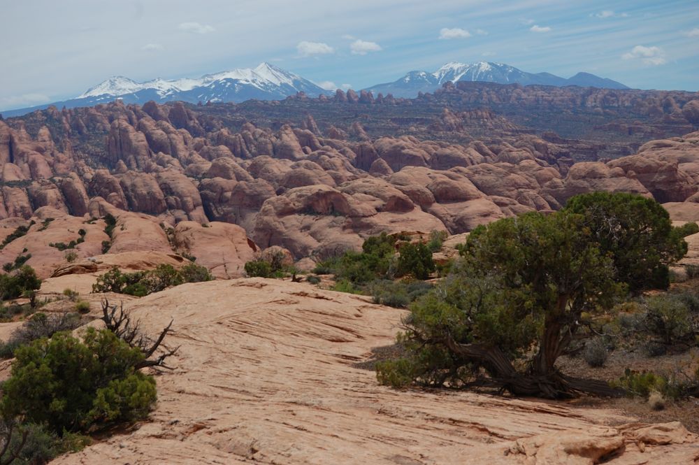 LaSal Mts in the distance