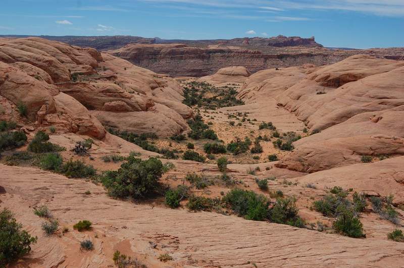 I saw my road down this shallow canyon and took a shortcut