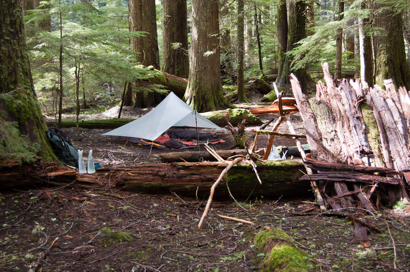 Cedar Swamp camp