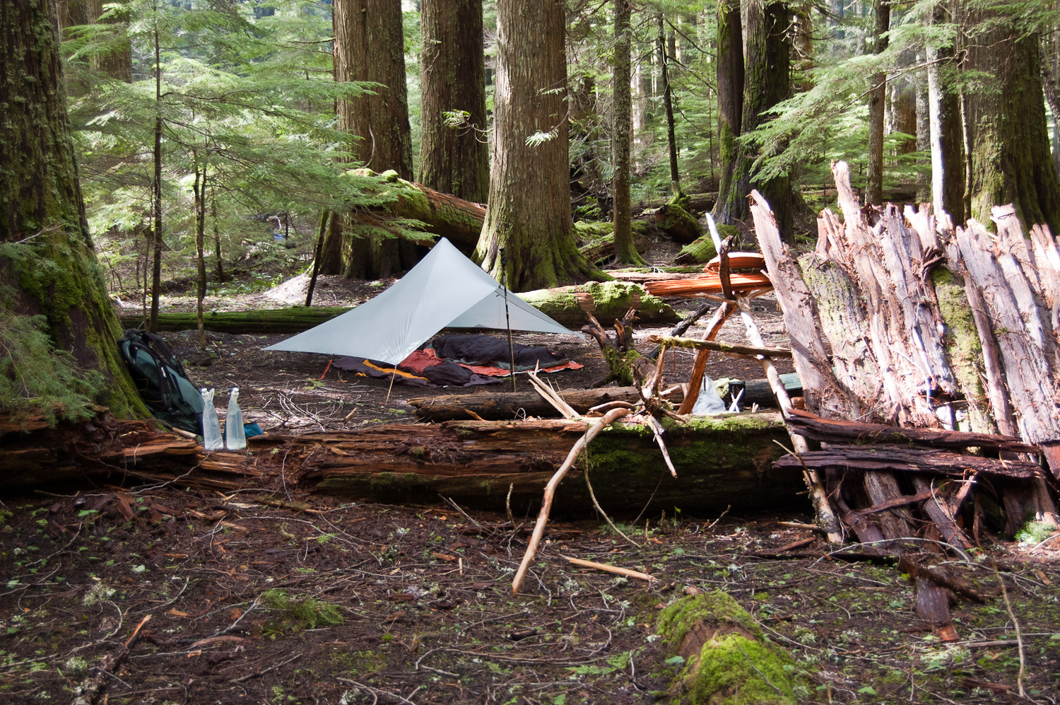 Cedar Swamp camp