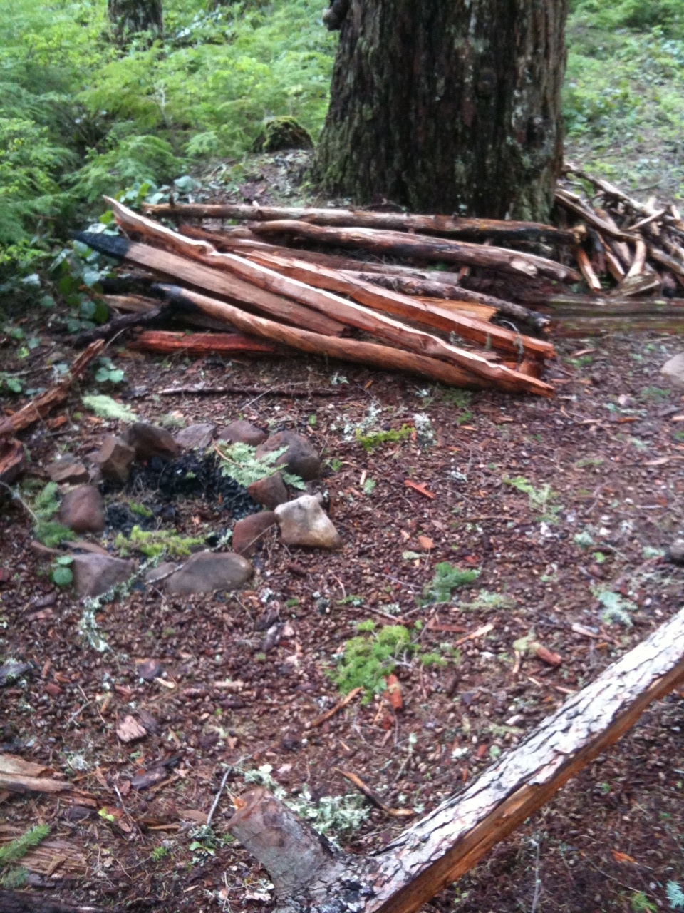 campsite c