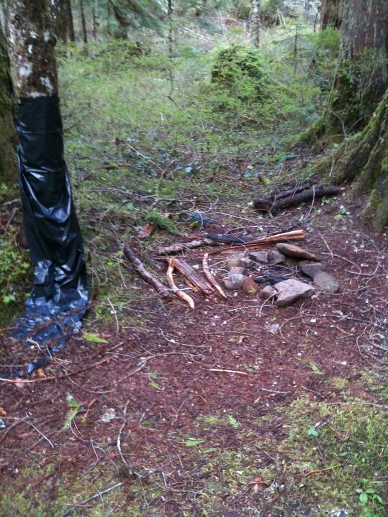 campsite d