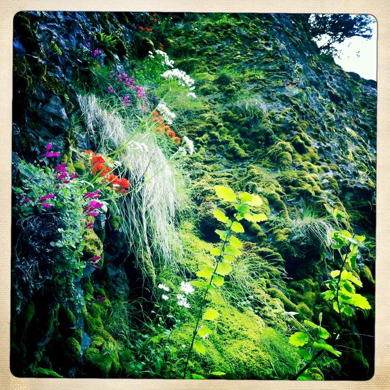 rainbow cliff