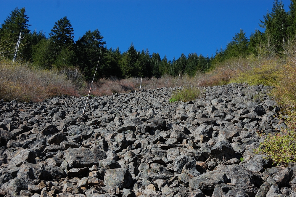 talus slope with trail markers