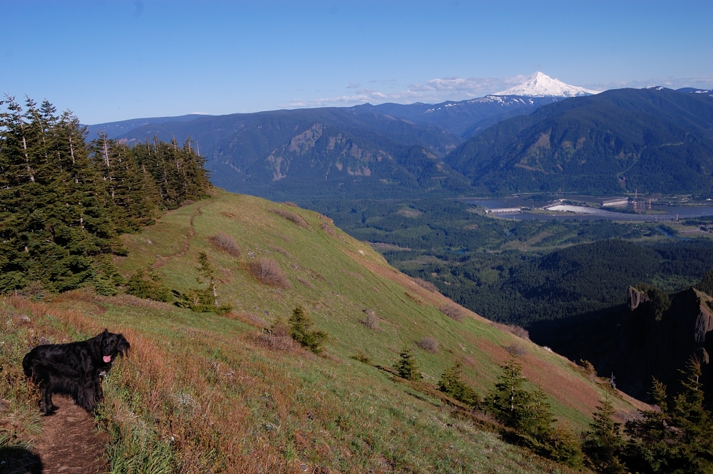 near the summit