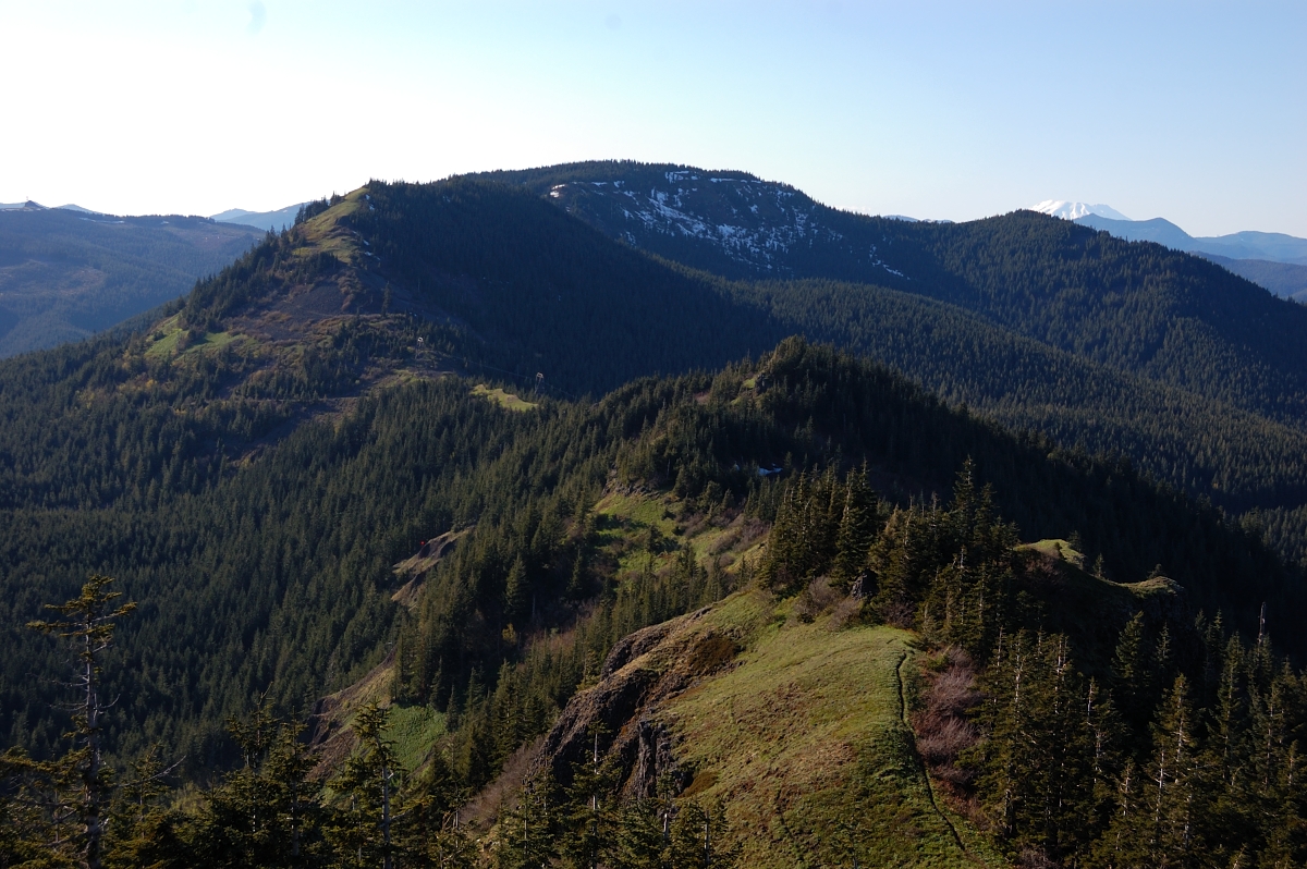 Looking towards Birkenfeldt Mtn and St Helens