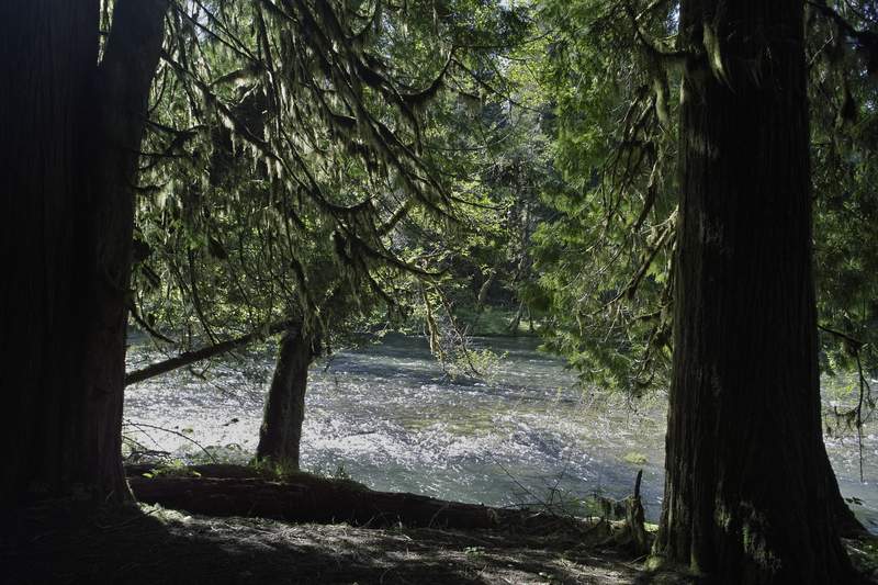 Camp site