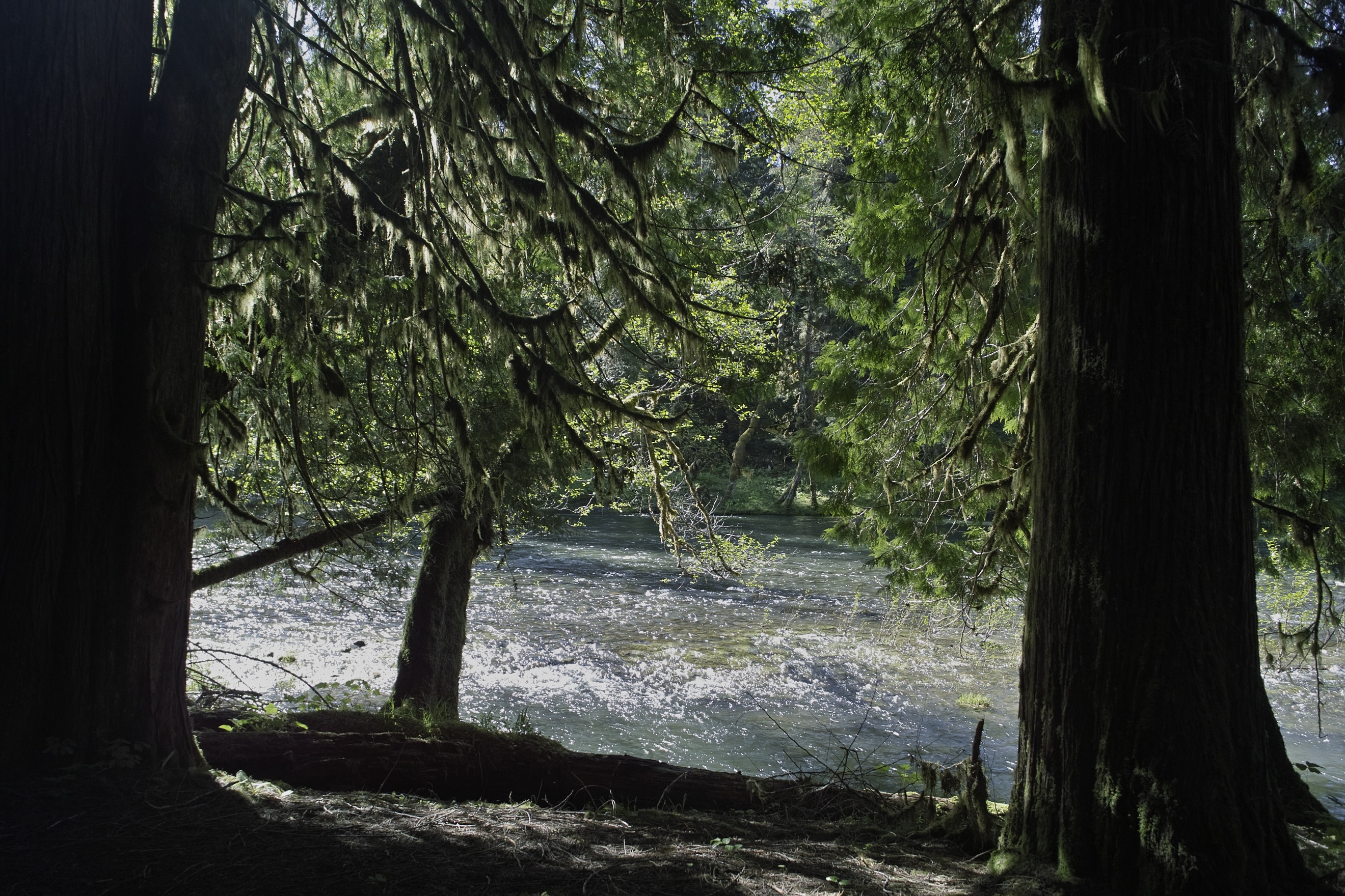 Camp site