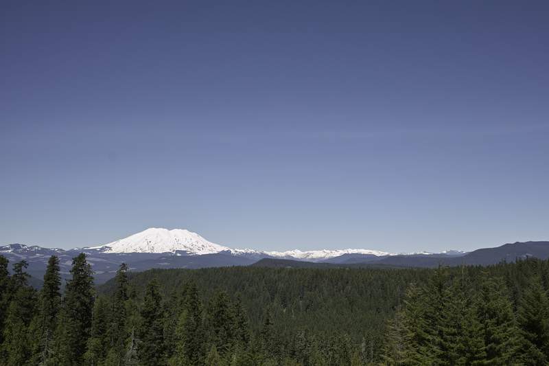 From McClellan viewpoint.