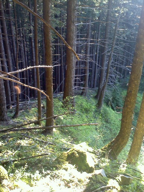 On the off trail return route, nice ridge
