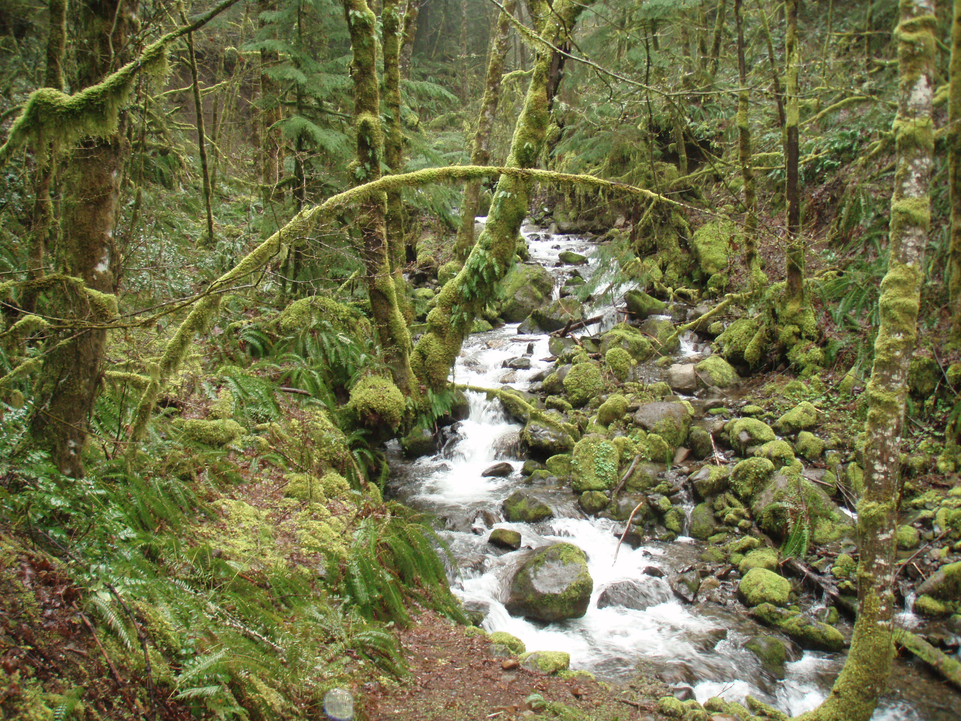 Ruckel Creek