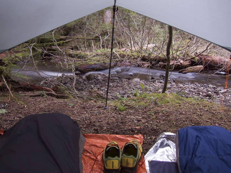 Our view in the morning