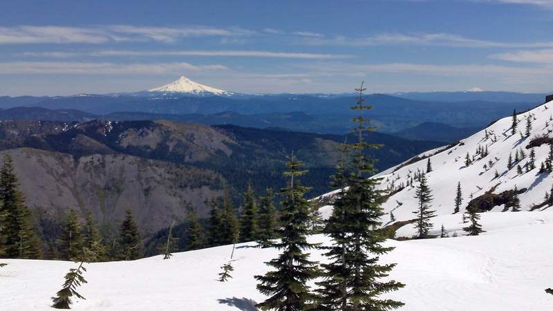 Trail towards Little Baldy