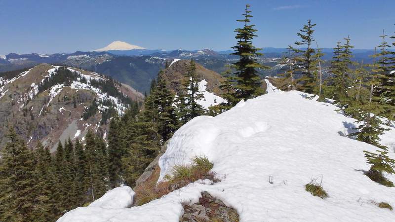 Top of Bluff Mountain