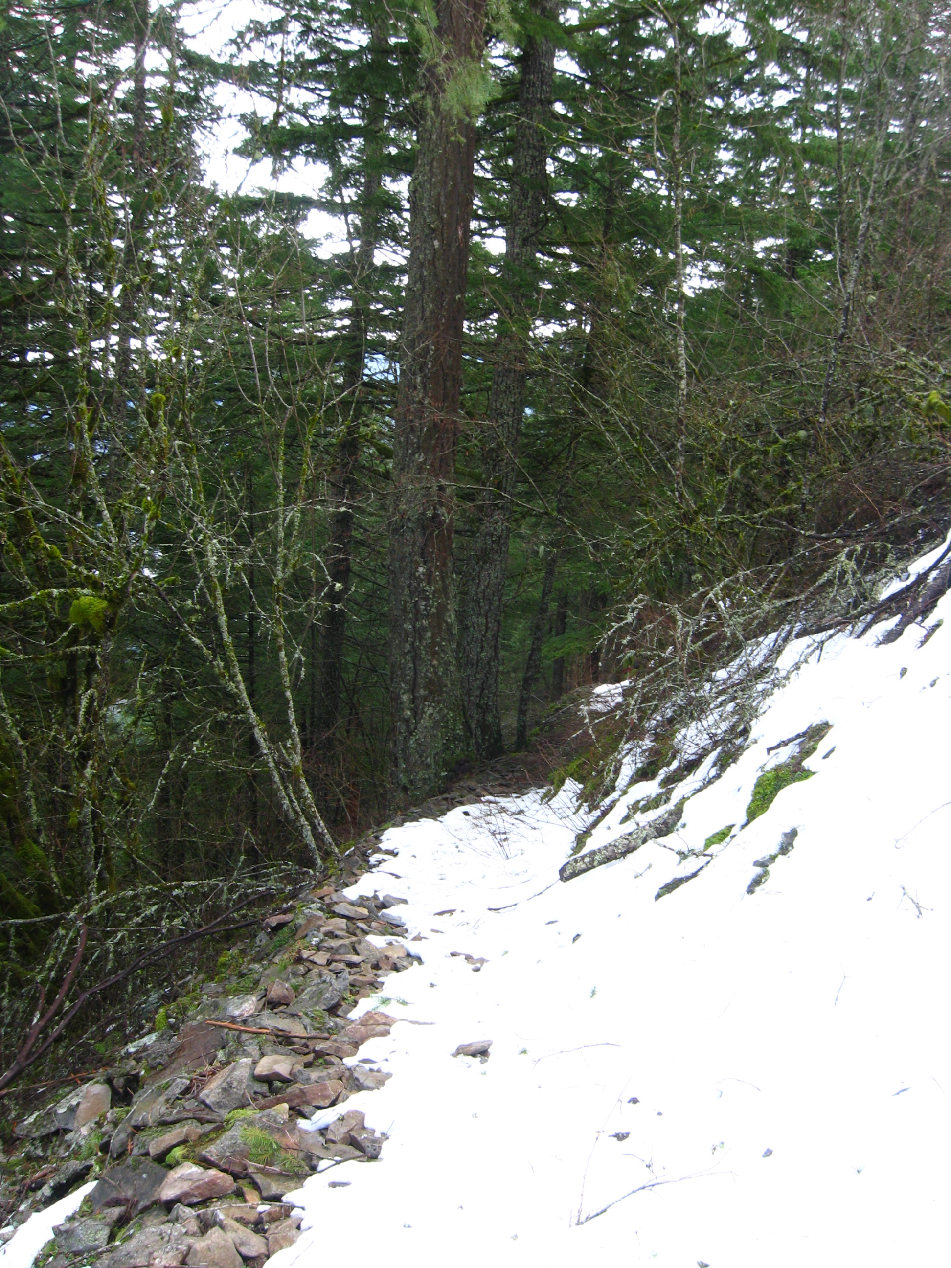 a little snow towards the top