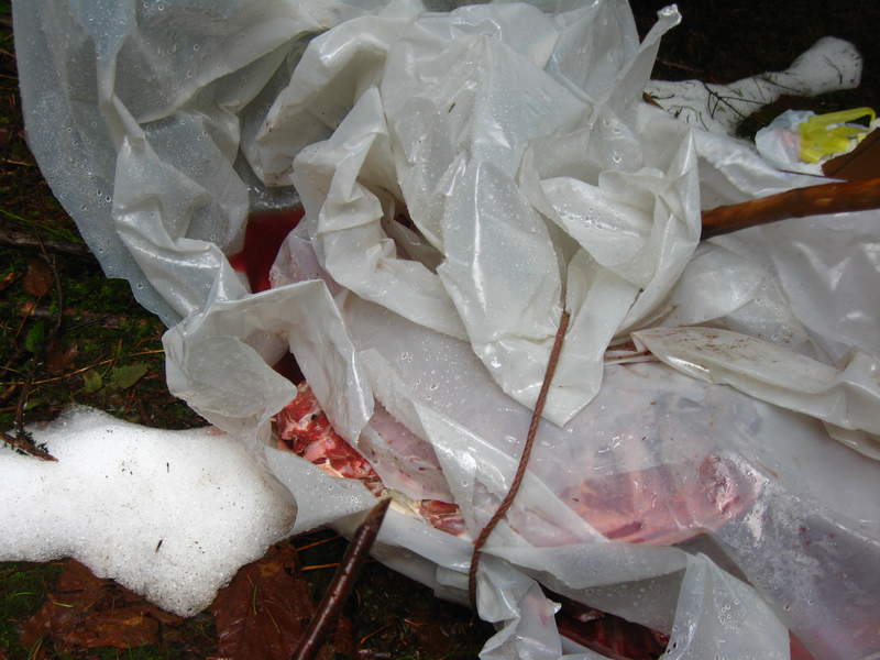the carcass