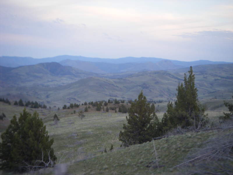 the territory