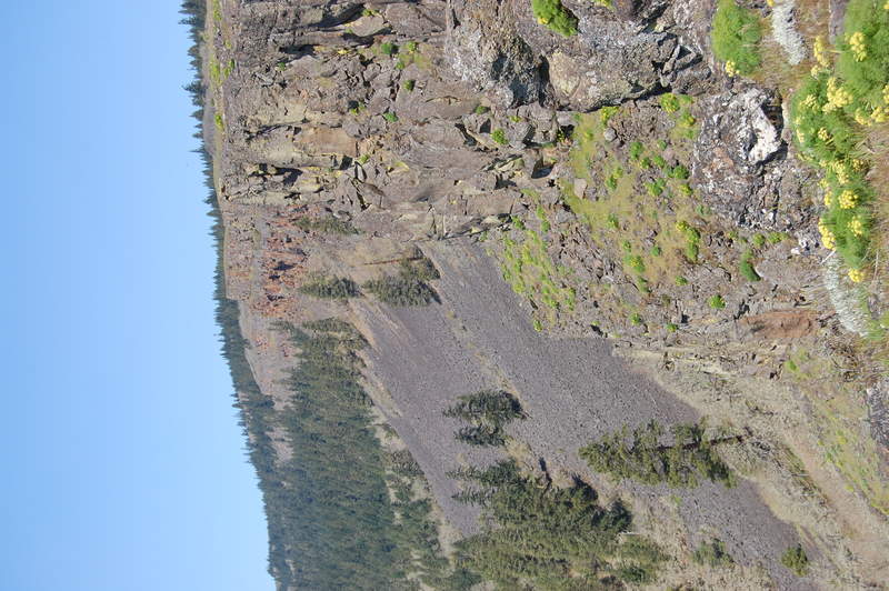 coyote wall