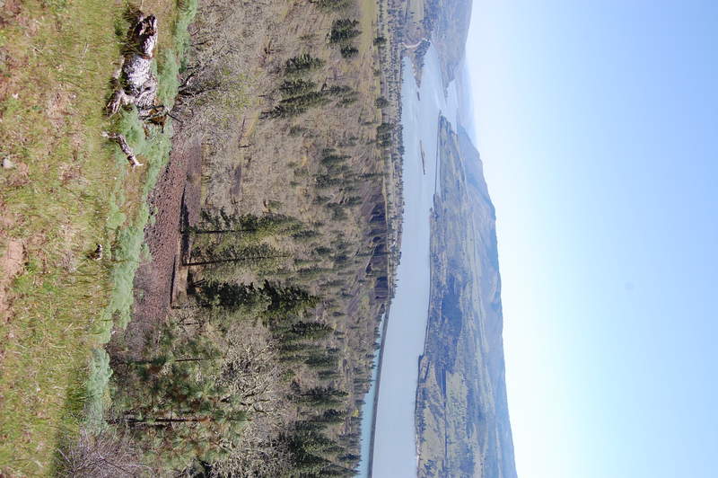 Catherine Creek