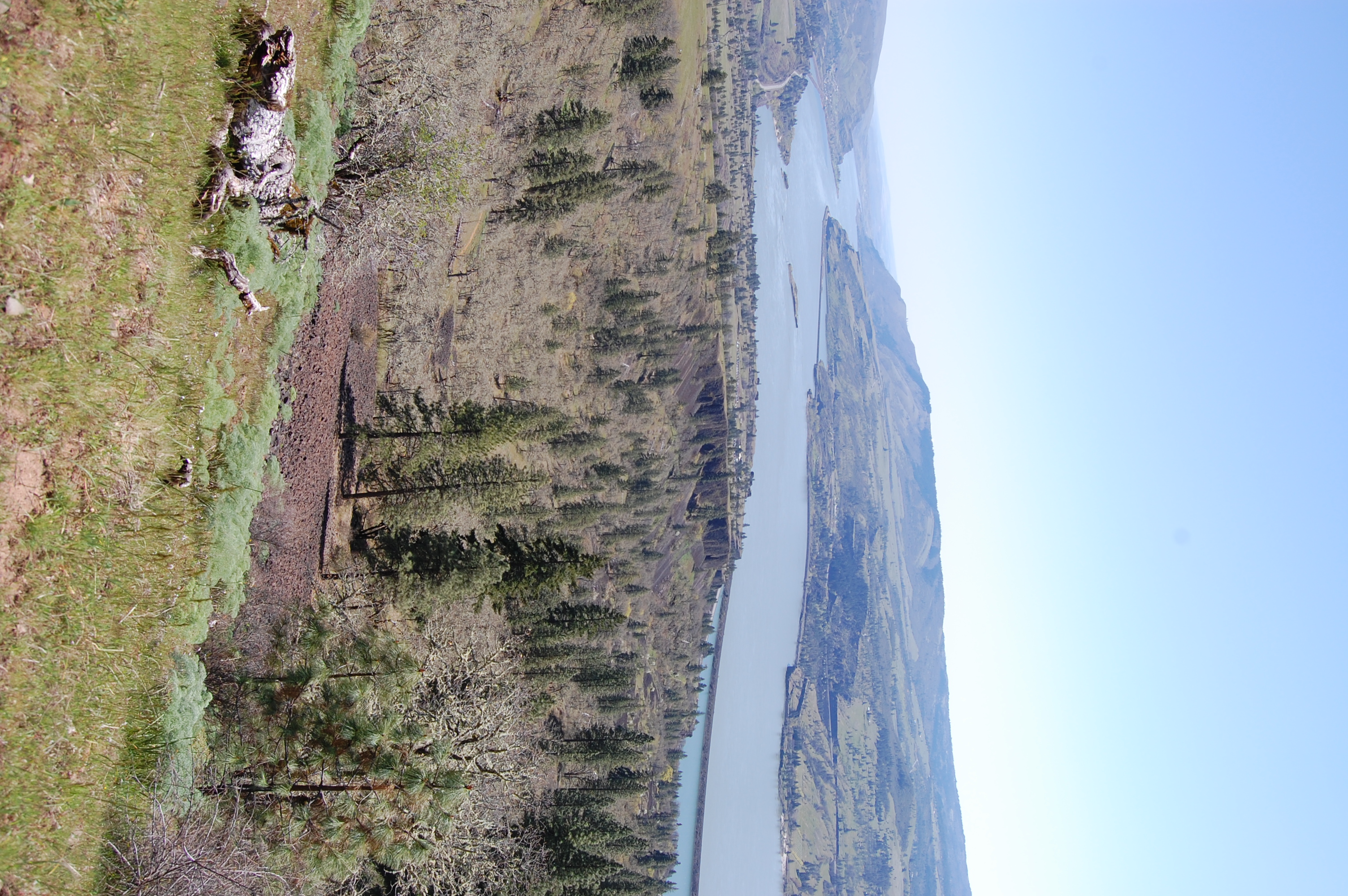 Catherine Creek
