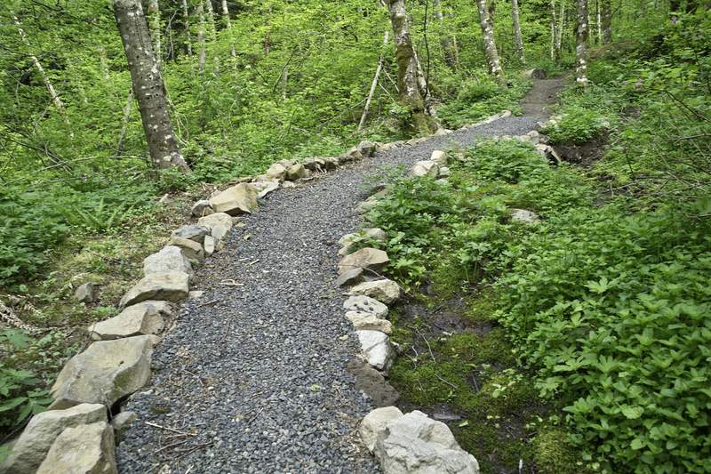 The new trail work. Maybe they're using landscapers?