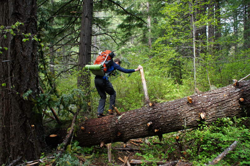 some blowdown