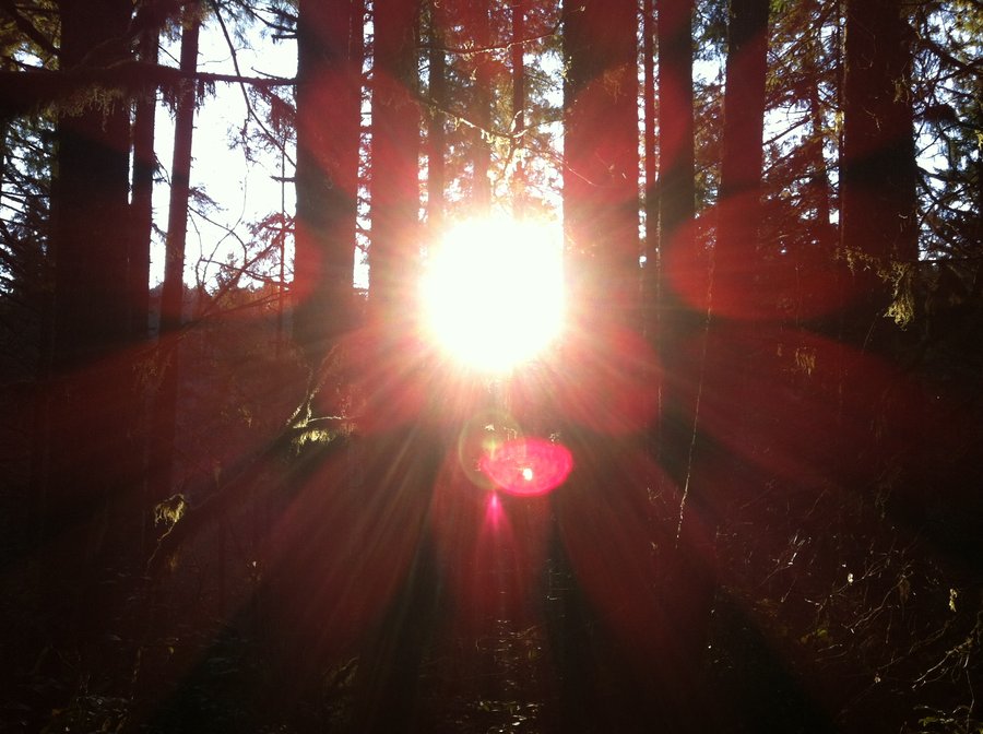 Photo from Silver Falls mini loop
