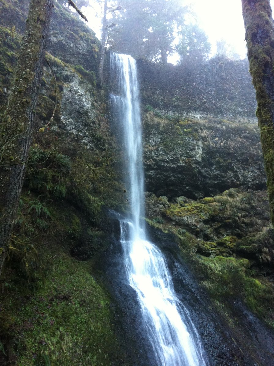 Photo from Silver Falls mini loop