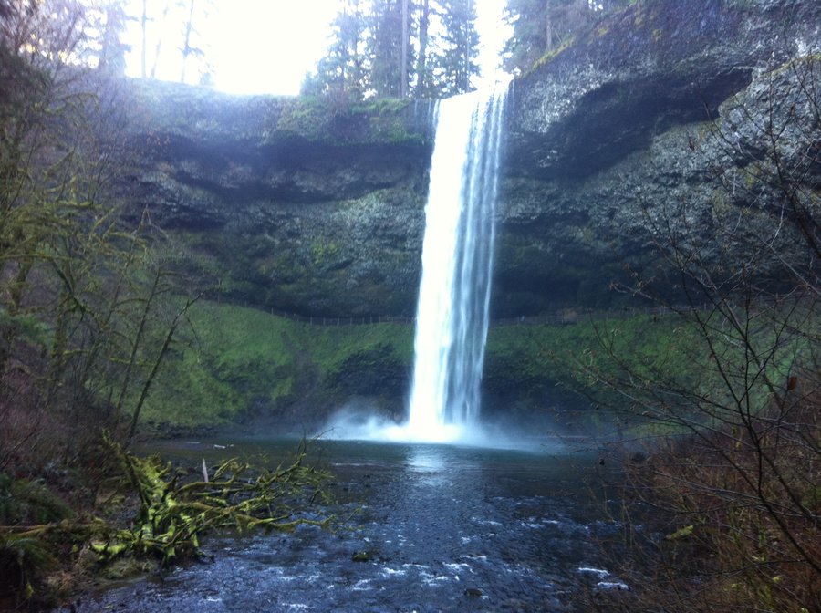 Photo from Silver Falls mini loop