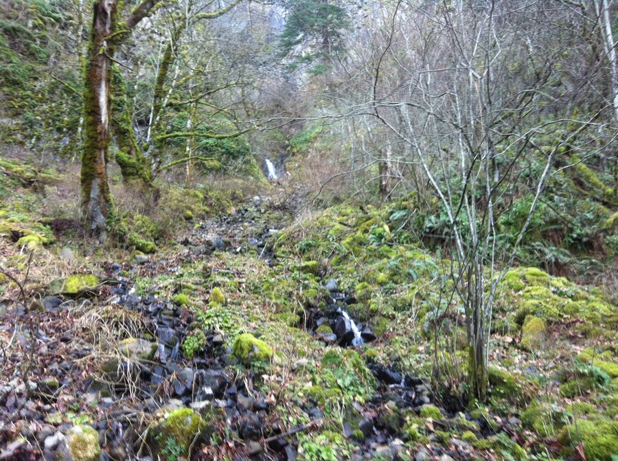 Photo from Gorge 400 Trail