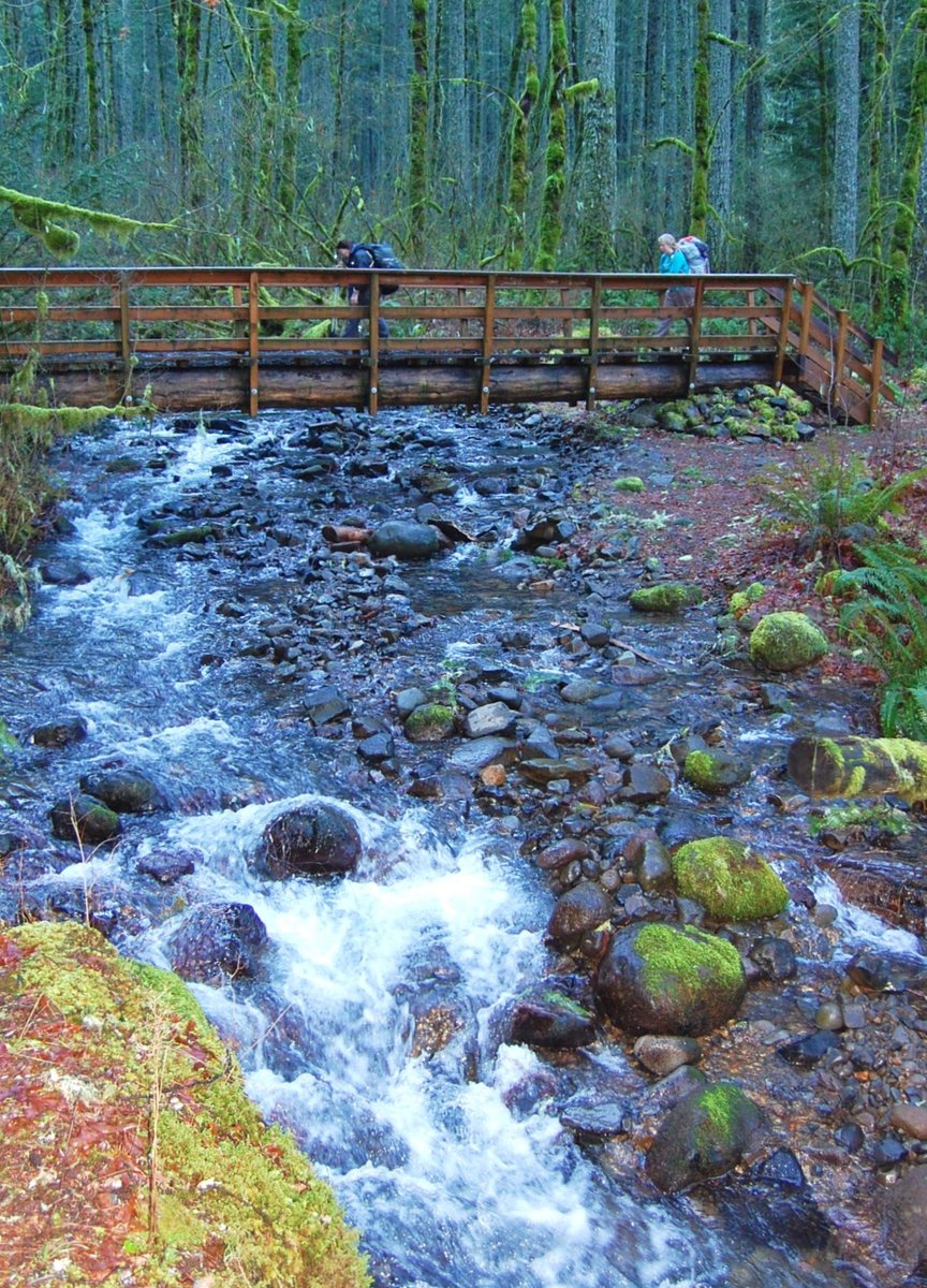Photo from PCT to Herman Creek -Nick Eaton ridge to Indian Point