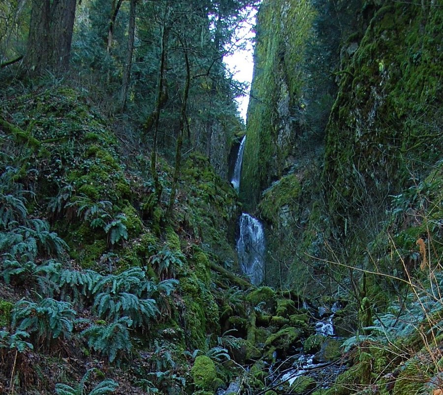 Photo from PCT to Herman Creek -Nick Eaton ridge to Indian Point
