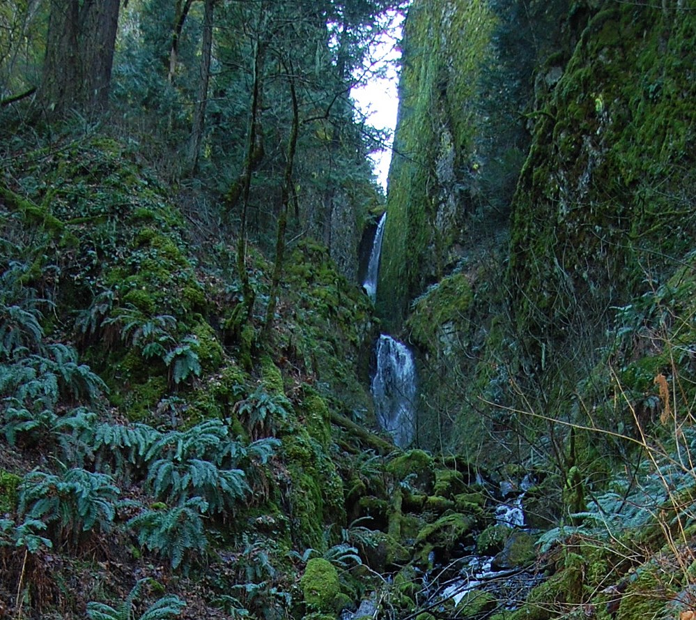 Photo from PCT to Herman Creek -Nick Eaton ridge to Indian Point