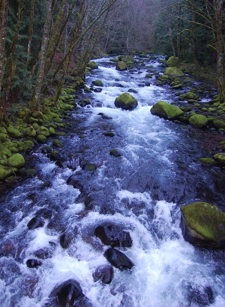 Photo from PCT to Herman Creek -Nick Eaton ridge to Indian Point